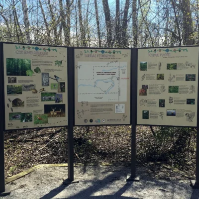 Sanilac Petroglyphs Historic State Park