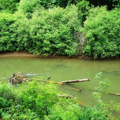 Sarah Helmick State Recreation Site