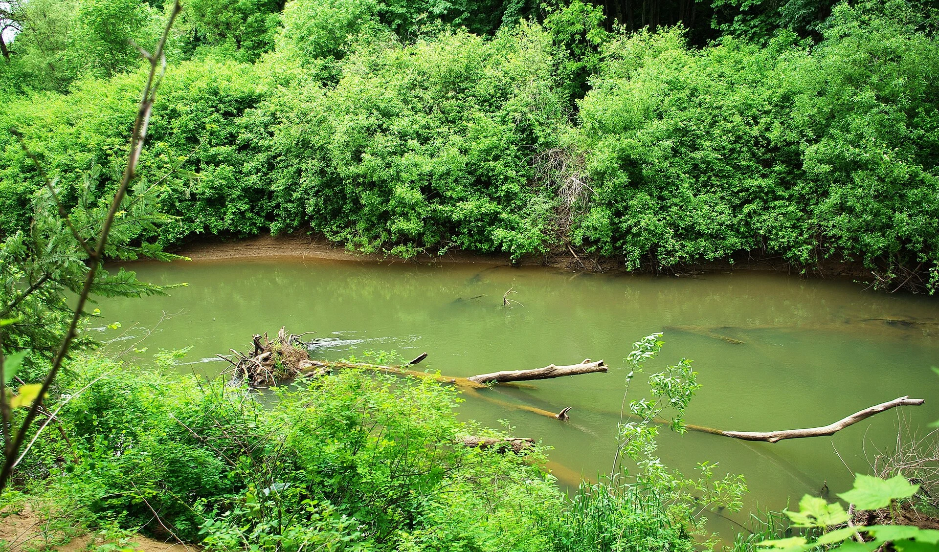 Sarah Helmick State Recreation Site