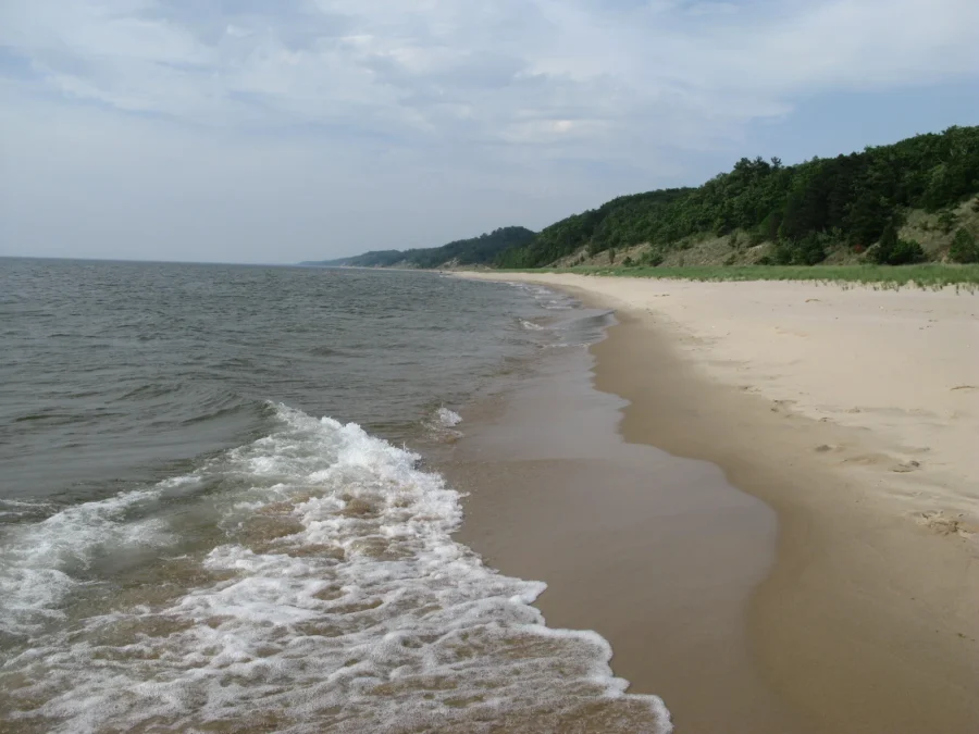 Lake Michigan surf on the sandy beach below wooded dunes, Saugatuck Dunes State Park, Michigan