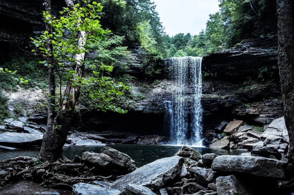 Savage Gulf State Natural Area 10 Savage Gulf State Natural Area (Tennessee)