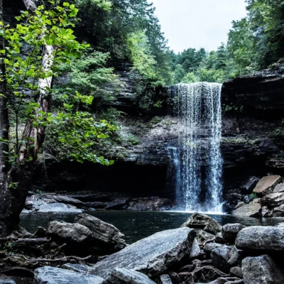 Savage Gulf State Natural Area