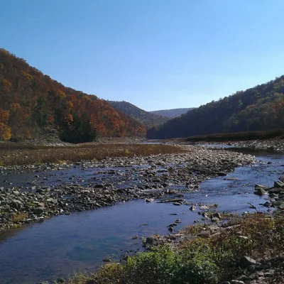 Savage River State Forest