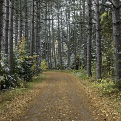 Savanna Portage State Park