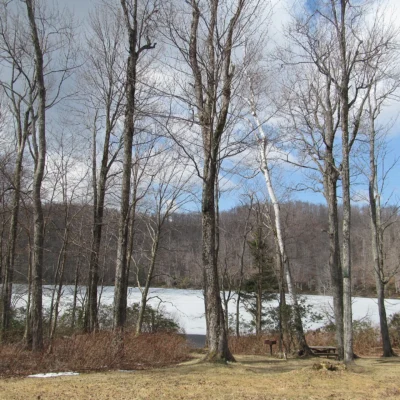Savoy Mountain State Forest