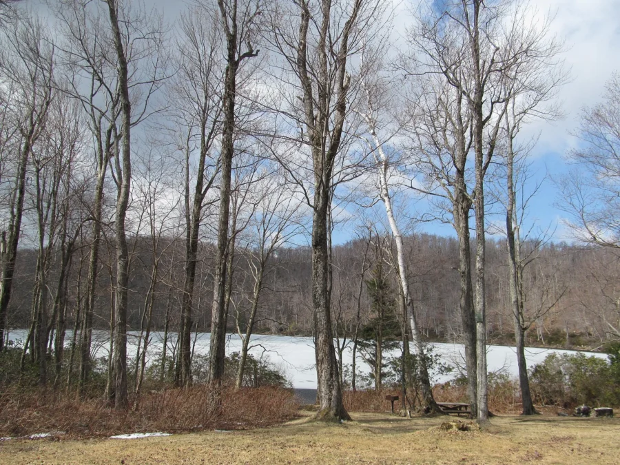 Savoy Mountain State Forest (Massachusetts)