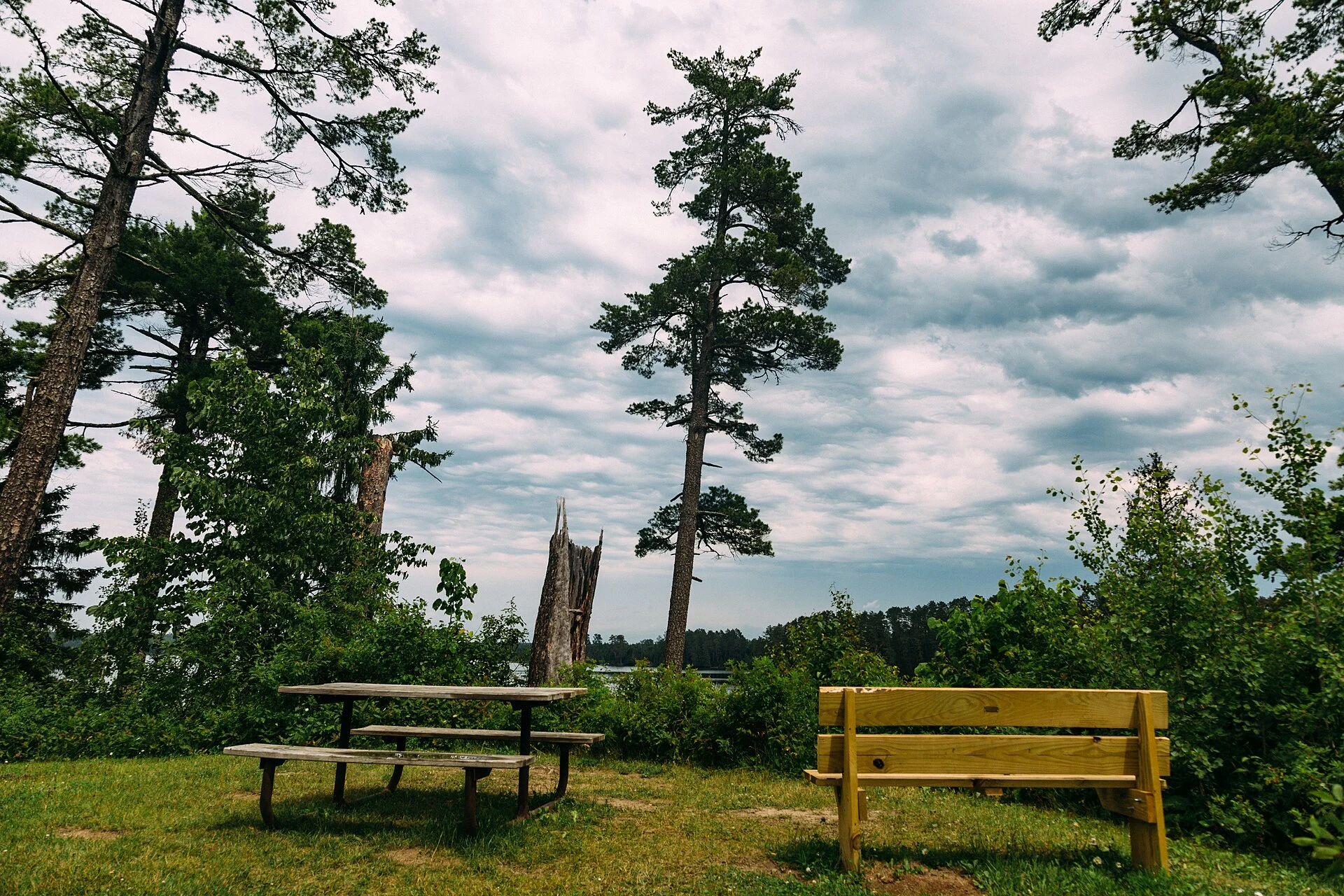 Scenic State Park