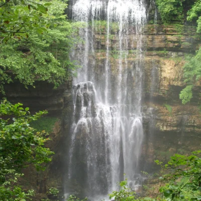Scott's Gulf Wilderness