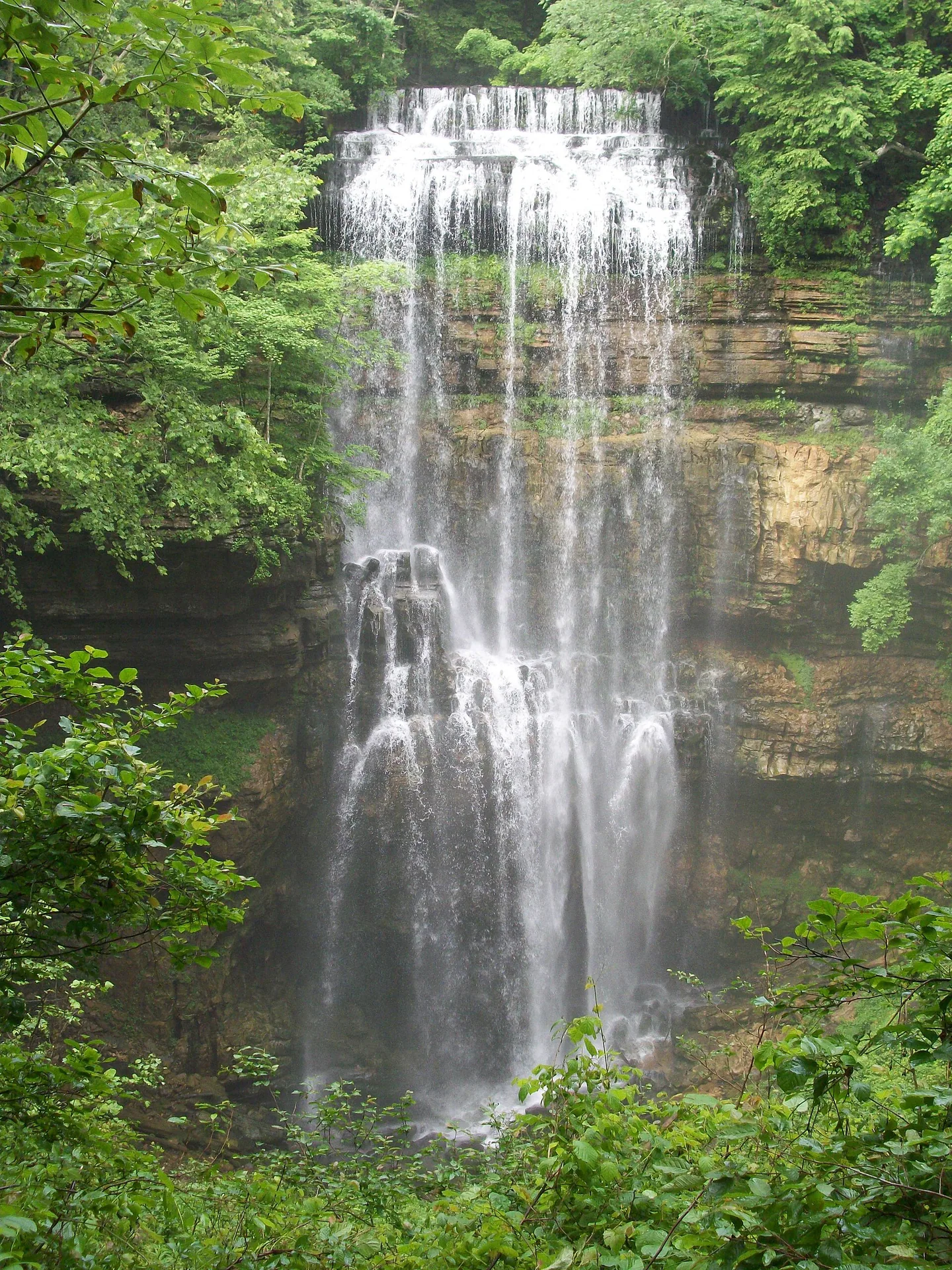 Scott’s Gulf Wilderness