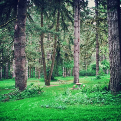 Seaquest State Park