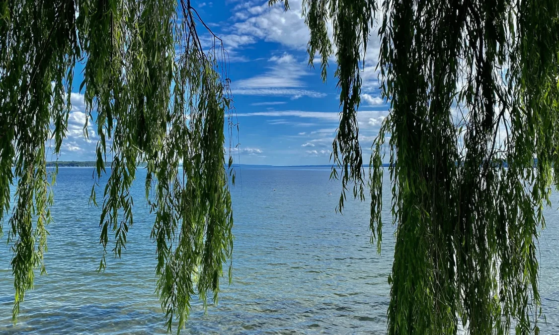 Seneca Lake State Park (New York)