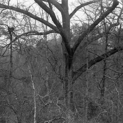 Sesquicentennial State Park