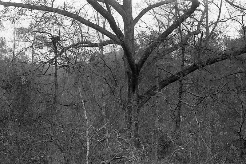 Sesquicentennial State Park (South-Carolina)
