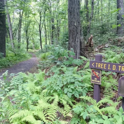 Sessions Woods Wildlife Management Area