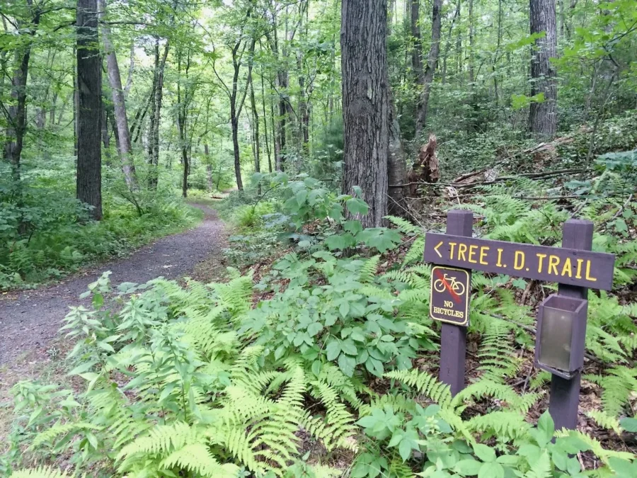 Sessions Woods Wildlife Management Area (Connecticut)