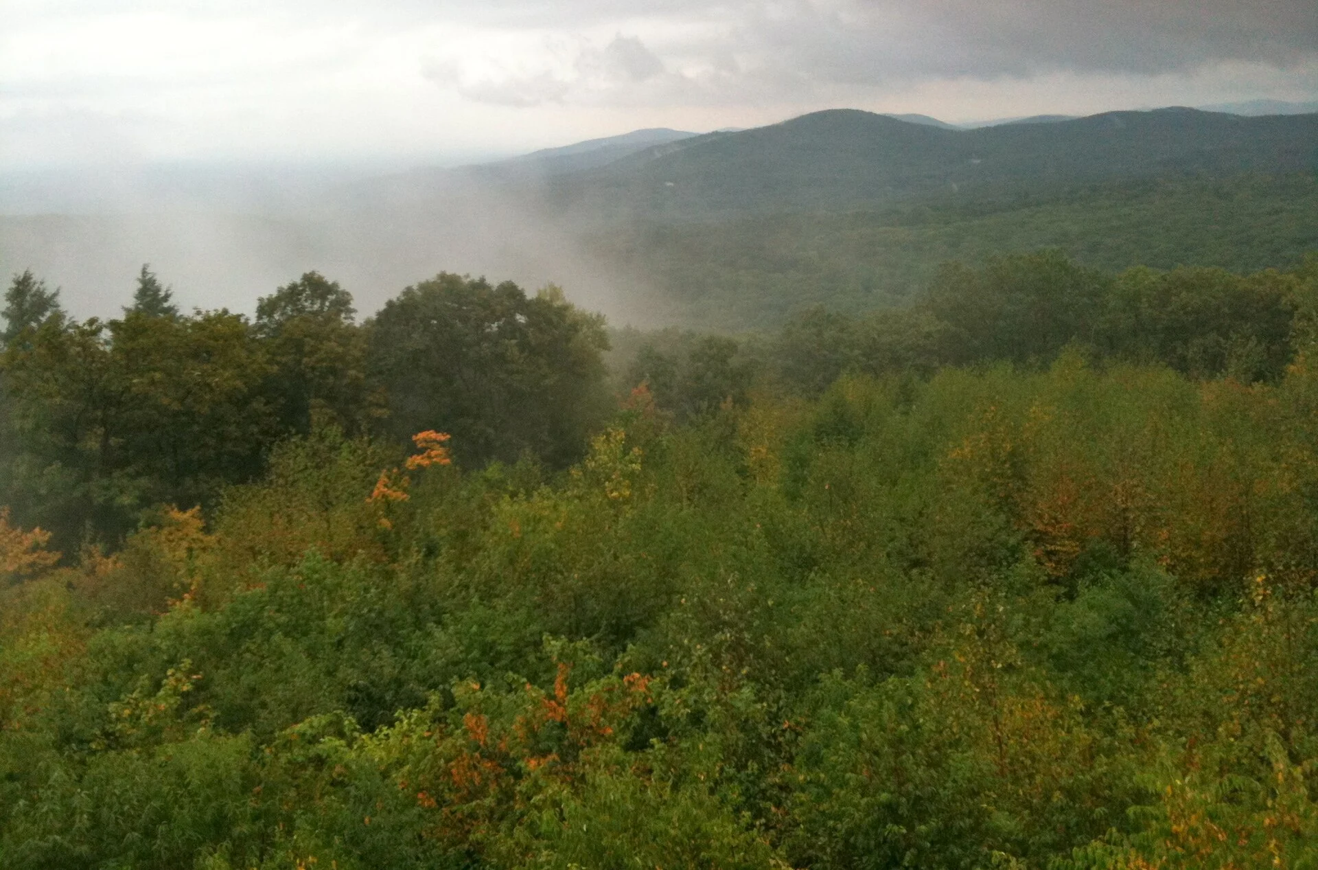 Shenipsit State Forest