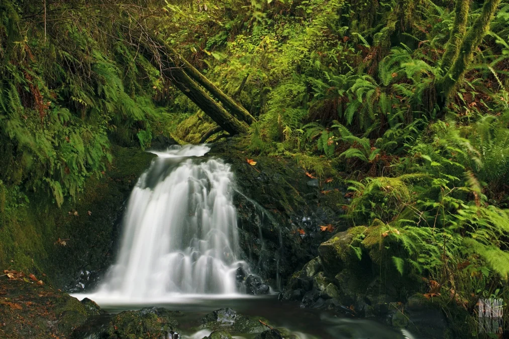 Shepperd's Dell State Natural Area (Oregon)