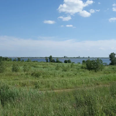 Shirley Chisholm State Park
