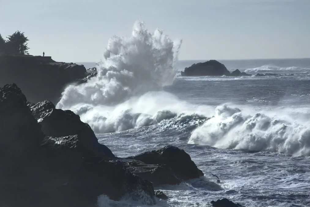 Shore Acres State Park (Oregon)