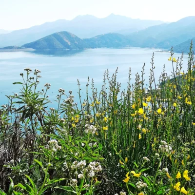 Silverwood Lake State Recreation Area