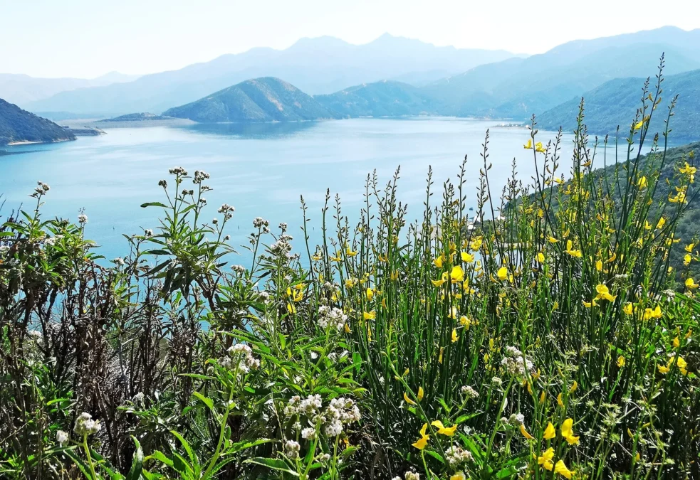 Silverwood Lake State Recreation Area (California)