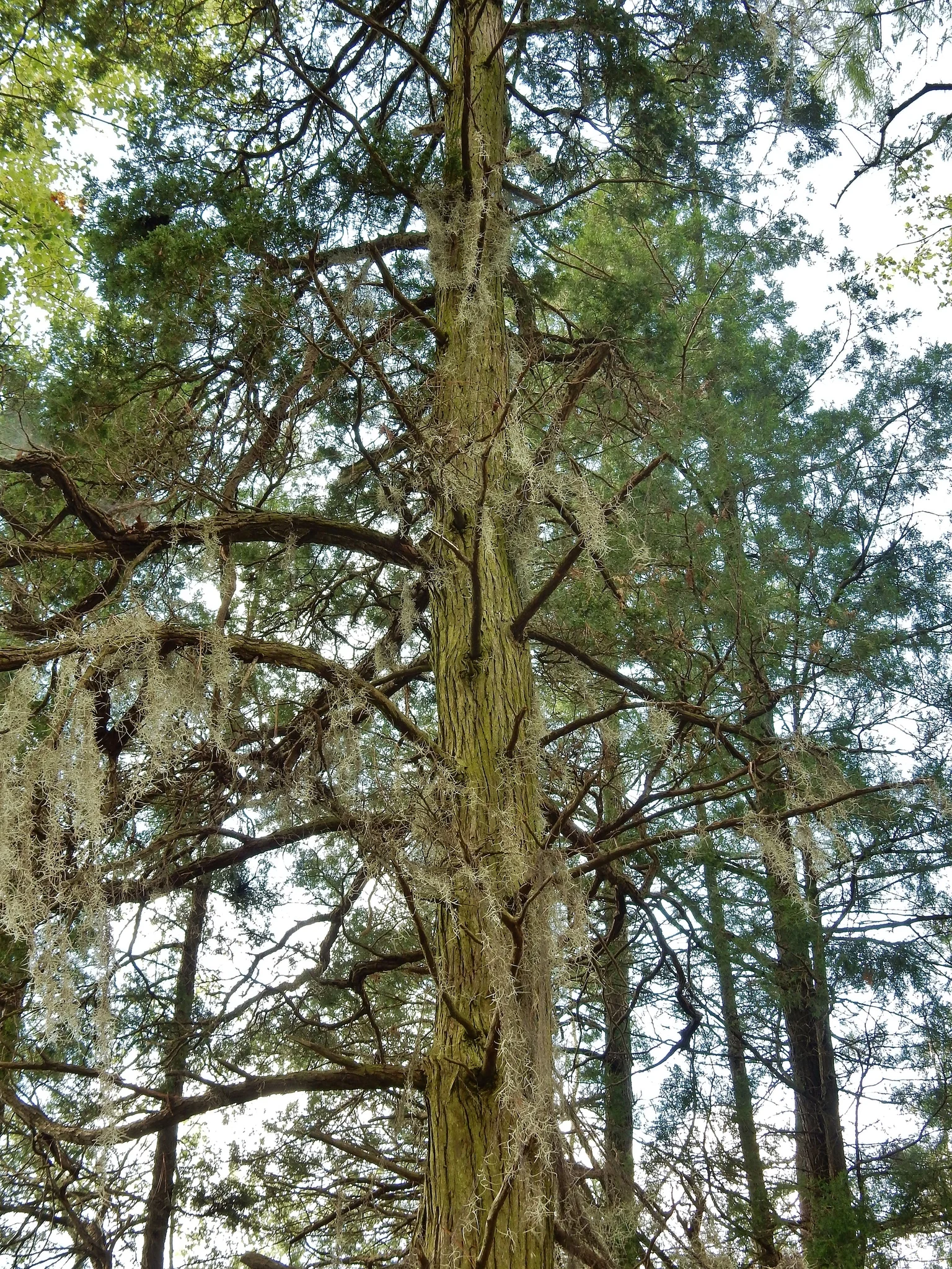 Singletary Lake State Park