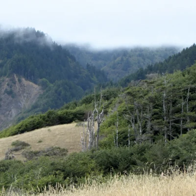 Sinkyone Wilderness State Park