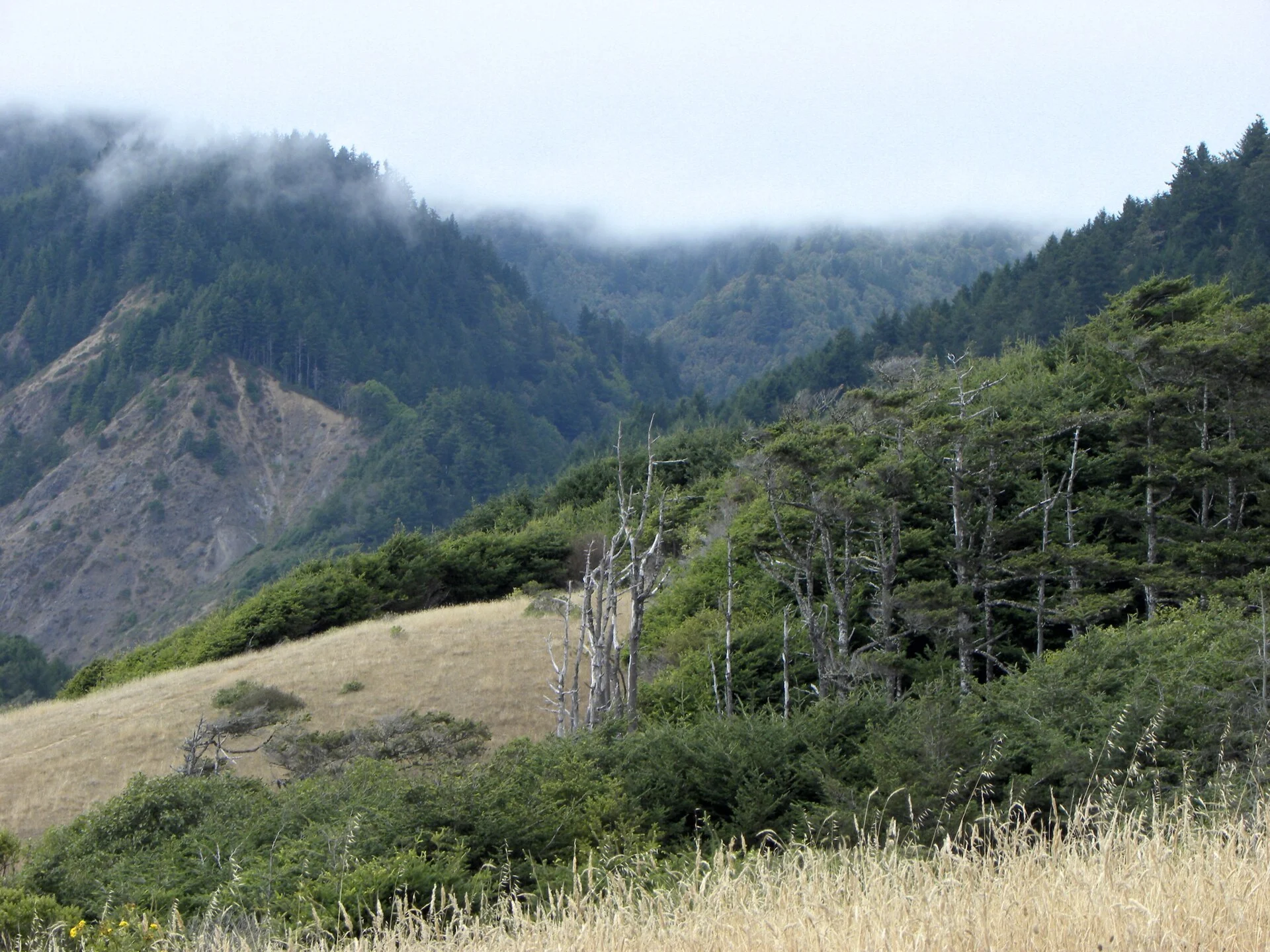 Sinkyone Wilderness State Park