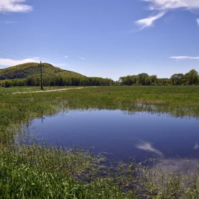 Skinner State Park