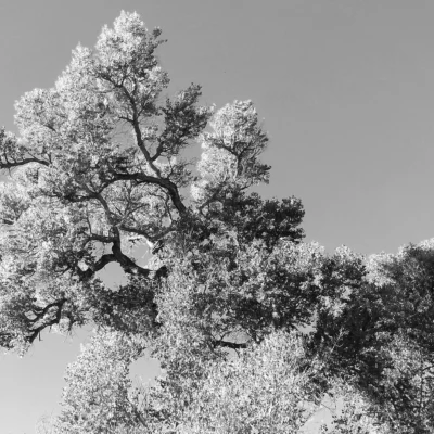 Sonoita Creek State Natural Area