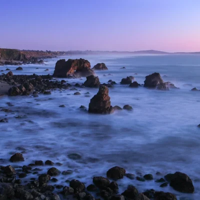Sonoma Coast State Park