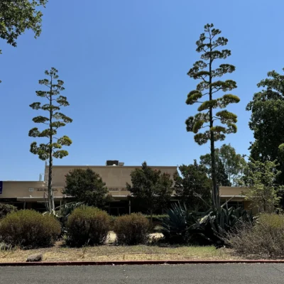 Sonoma State Historic Park