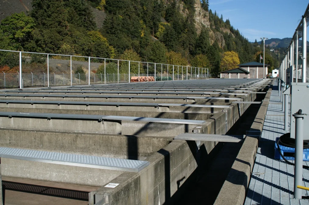 Spring Creek Hatchery (Washington)