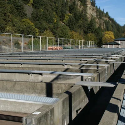 Spring Creek Hatchery