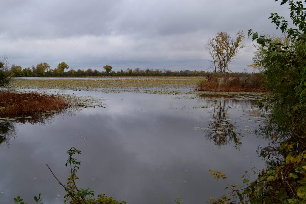 Autumn view of Spring Lake State Fish and Wildlife Area near Manito, Illinois