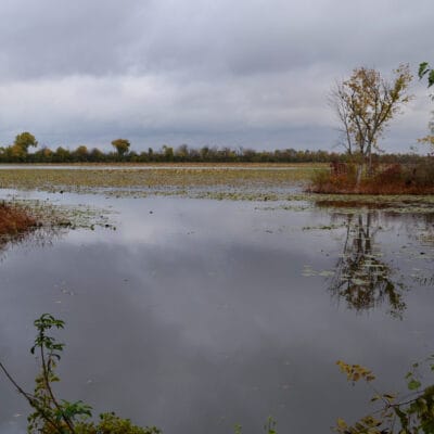 Spring Lake Fish and Wildlife Area