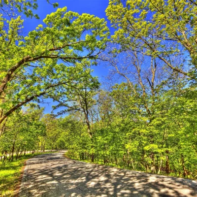 Springbrook State Park