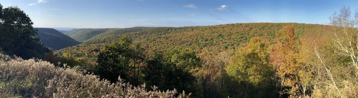 Sproul State Forest (Pennsylvania)