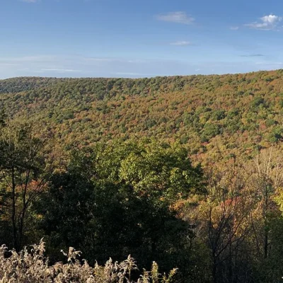 Sproul State Forest