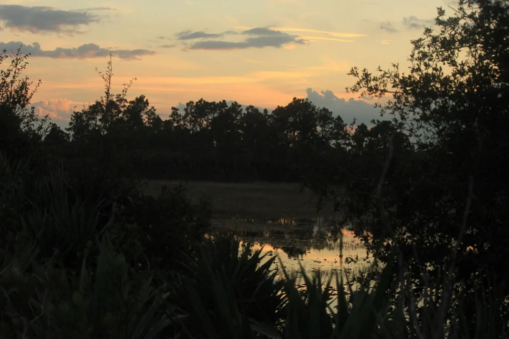 St Sebastian River State Park (Florida)