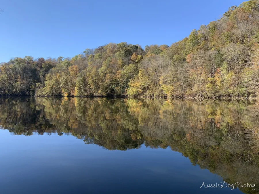 Standing Stone State Park (Tennessee)