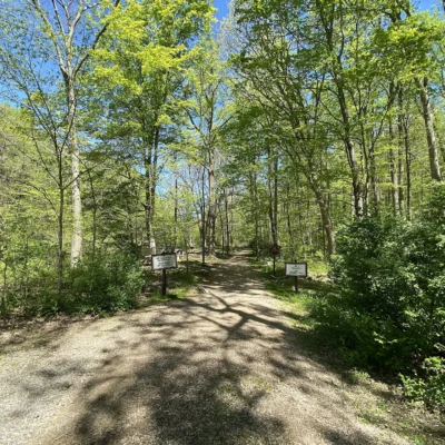 Stephens State Park