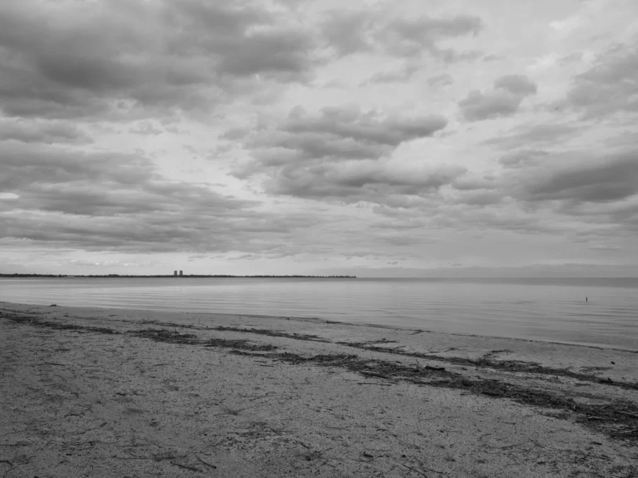 Sterling State Park (Michigan)