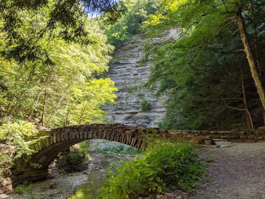 Stony Brook State Park 132 Stone footbridge in the wooded gorge of Stony Brook State Park, New York