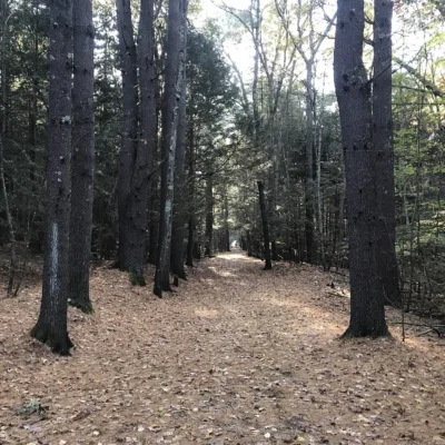 Stratton Brook State Park