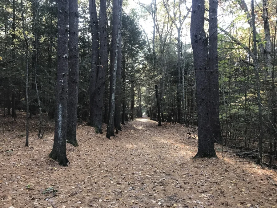 Stratton Brook State Park (Connecticut)