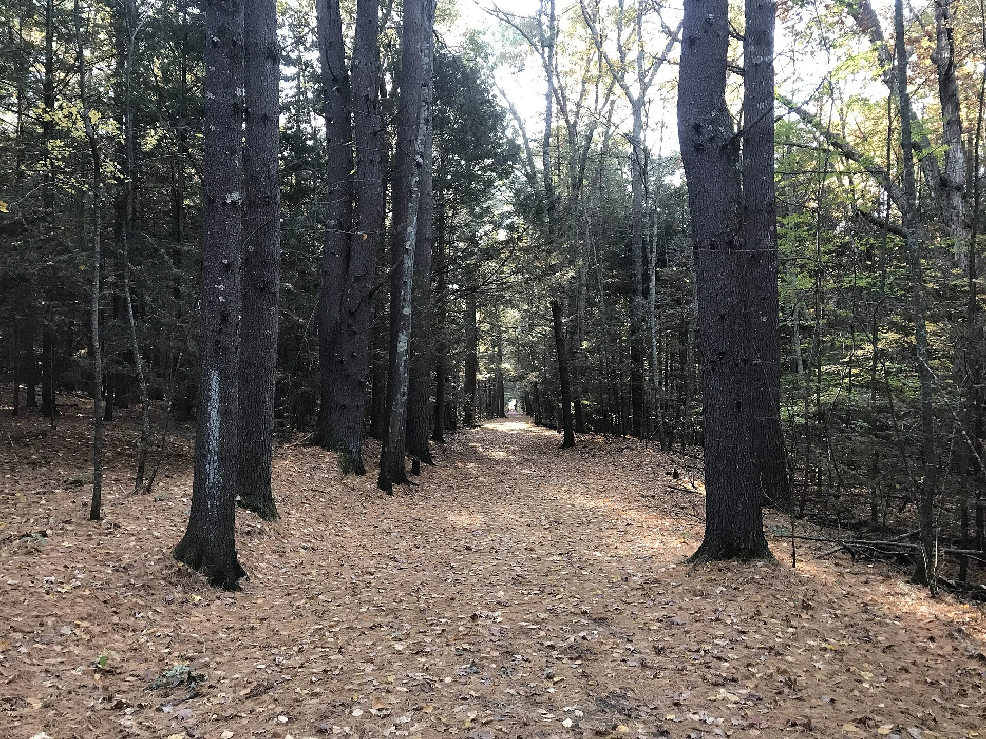 Stratton Brook State Park