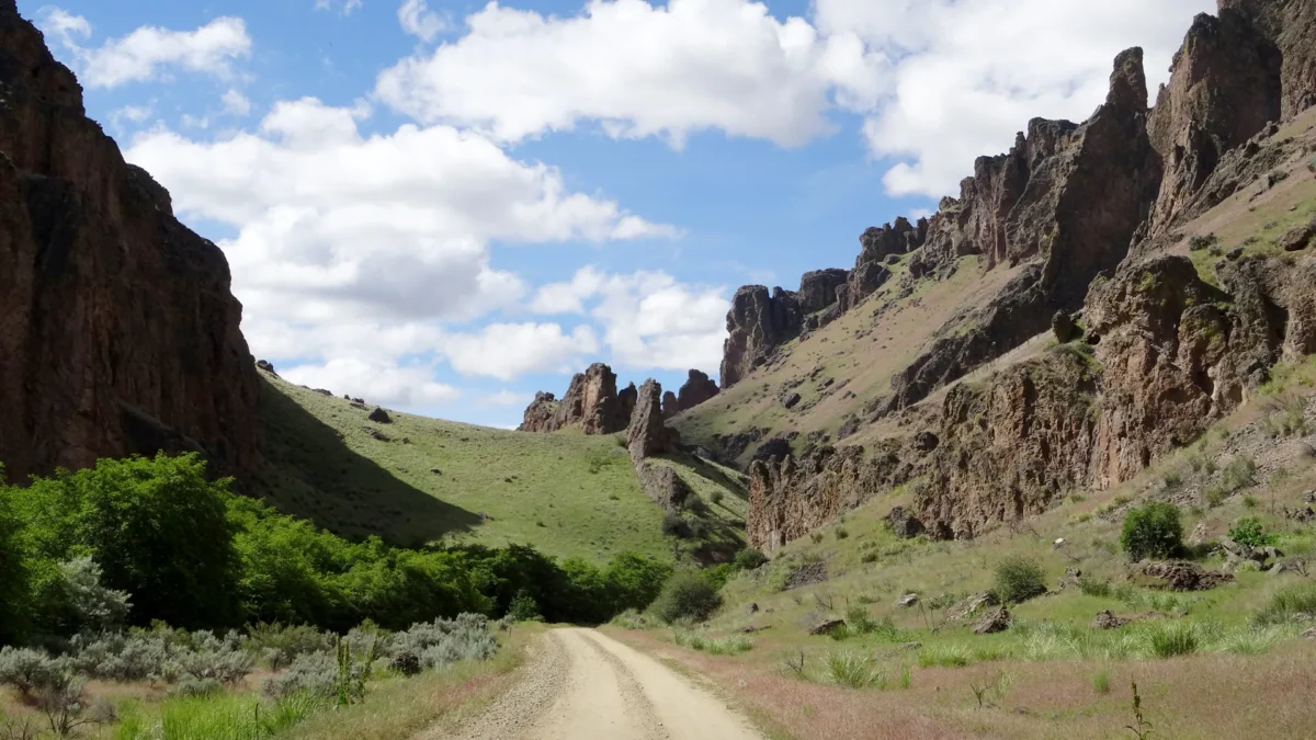 Succor Creek State Park 125 Gravel road leading into a rugged canyon of volcanic rock spires, Succor Creek State Natural Area, Oregon