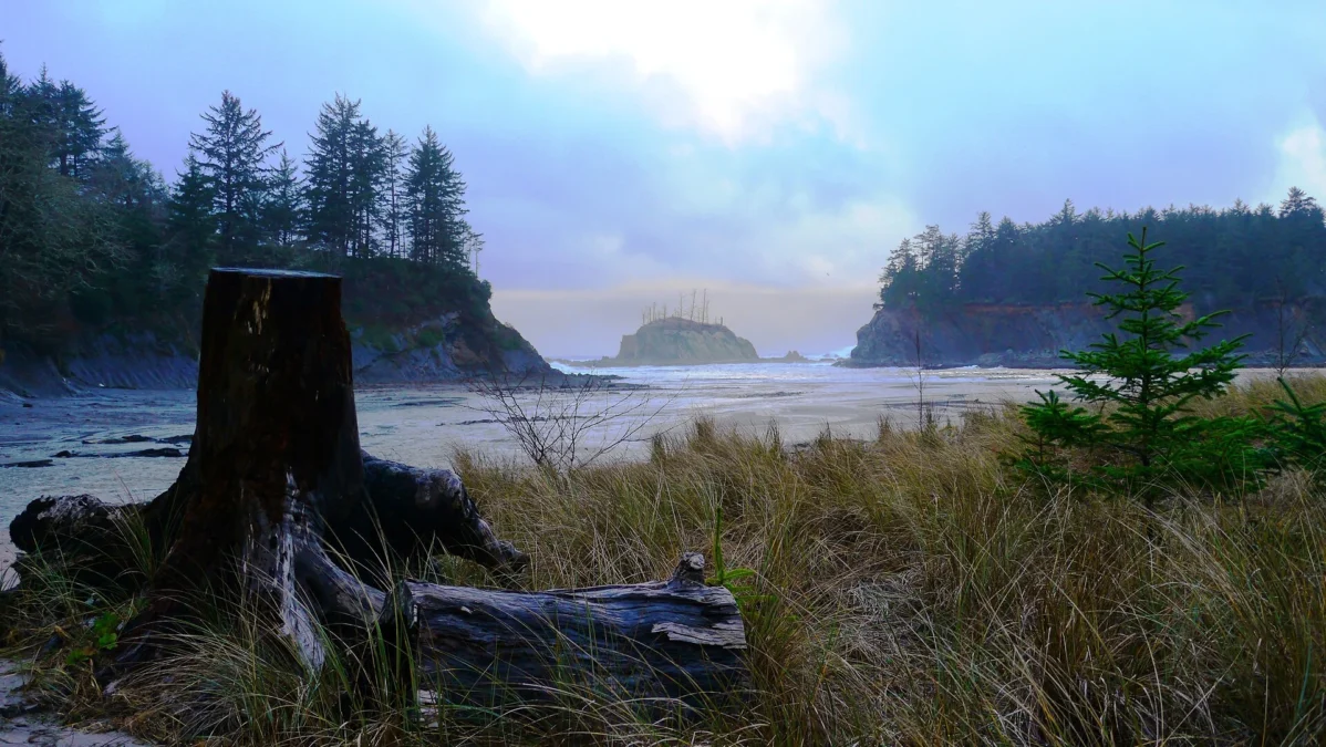 Sunset Bay State Park (Oregon)