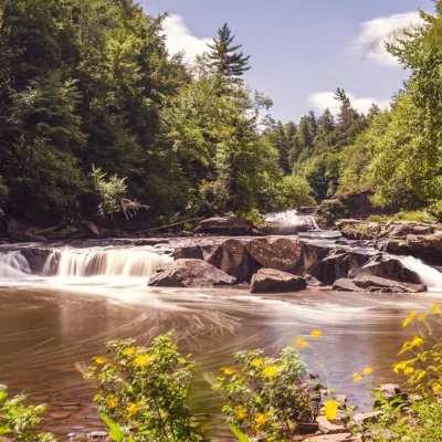 Swallow Falls State Park